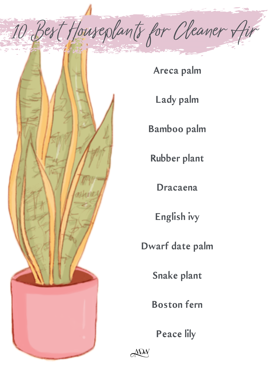 10 Best Houseplants for Cleaner Air