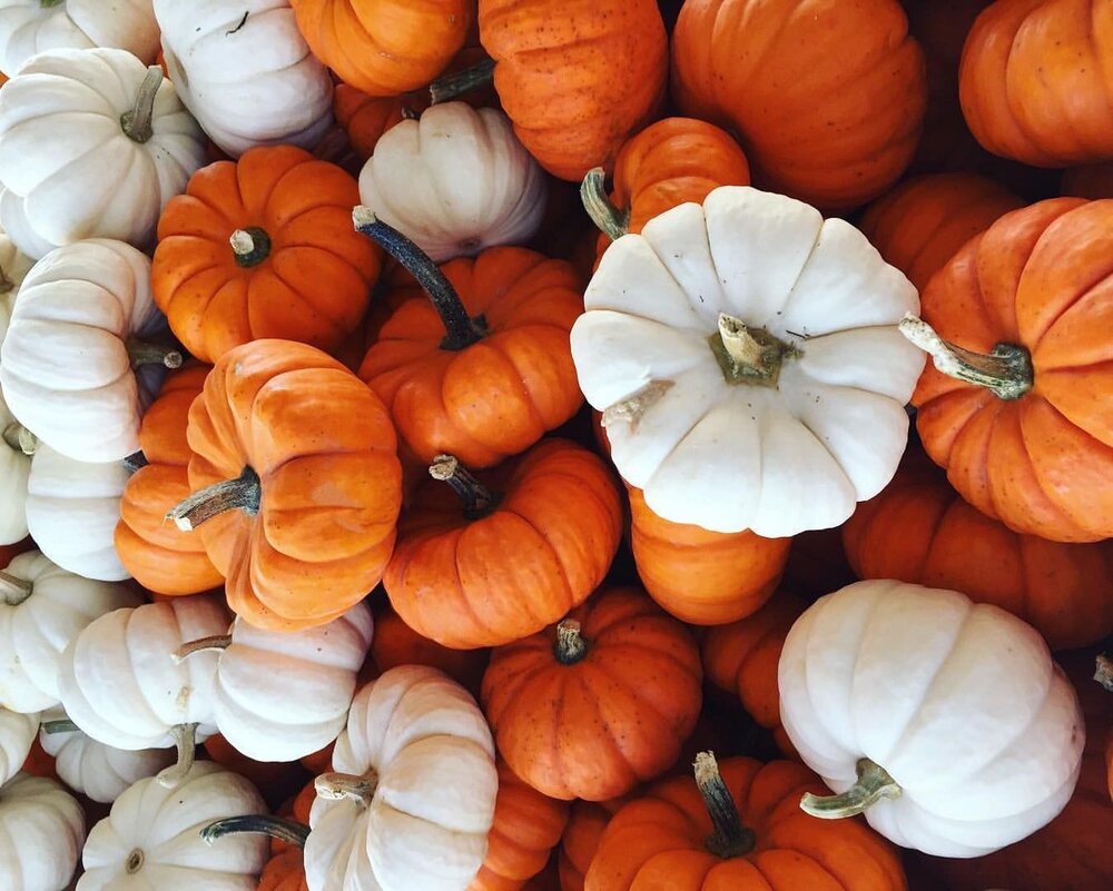 Pumpkin Spice Everything + the Best Pumpkin Bread Recipe