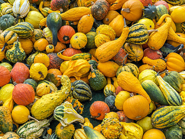 5 Common Types of Squash + Recipes